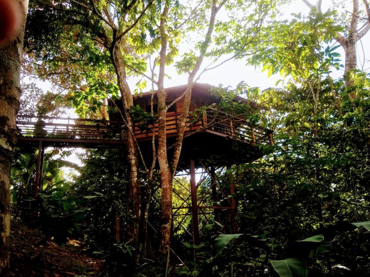 Treehouse Pilon Pavones Villa Pavones  Exterior foto