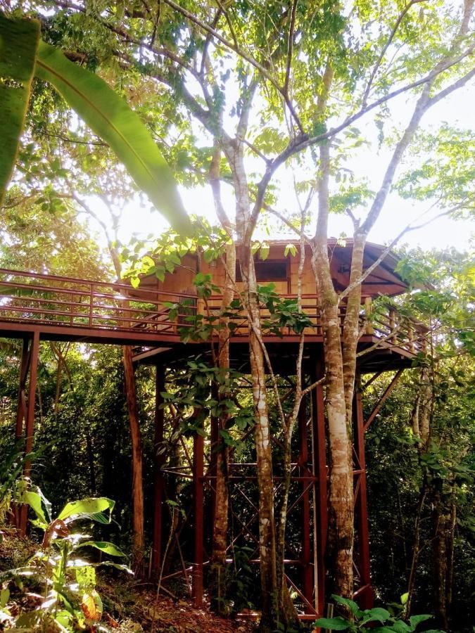 Treehouse Pilon Pavones Villa Pavones  Exterior foto
