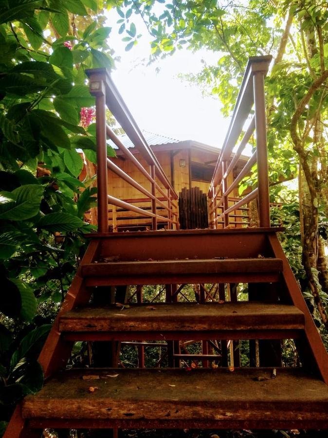 Treehouse Pilon Pavones Villa Pavones  Exterior foto