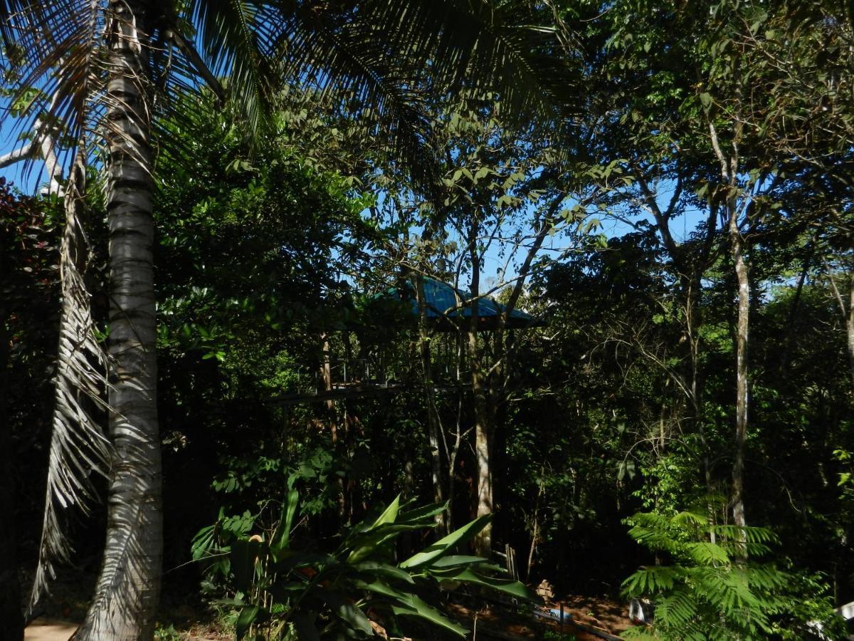 Treehouse Pilon Pavones Villa Pavones  Exterior foto