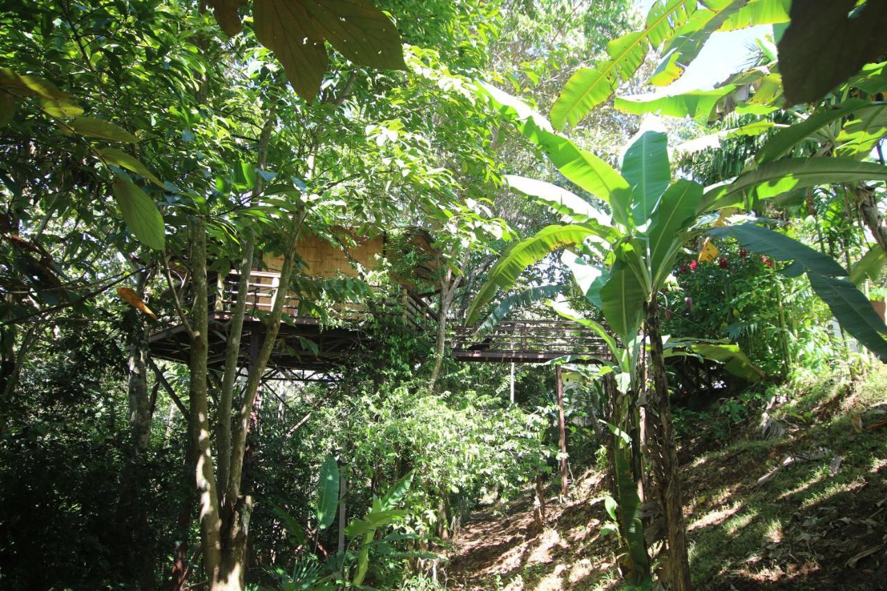 Treehouse Pilon Pavones Villa Pavones  Exterior foto