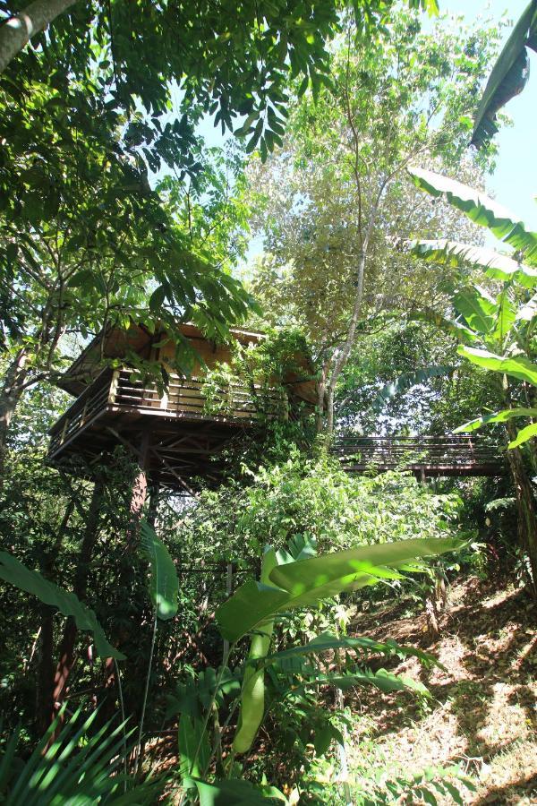 Treehouse Pilon Pavones Villa Pavones  Exterior foto