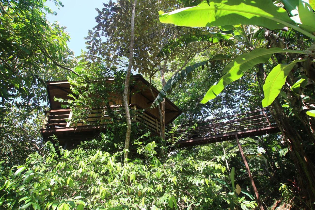 Treehouse Pilon Pavones Villa Pavones  Exterior foto