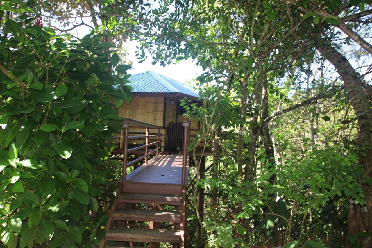 Treehouse Pilon Pavones Villa Pavones  Exterior foto