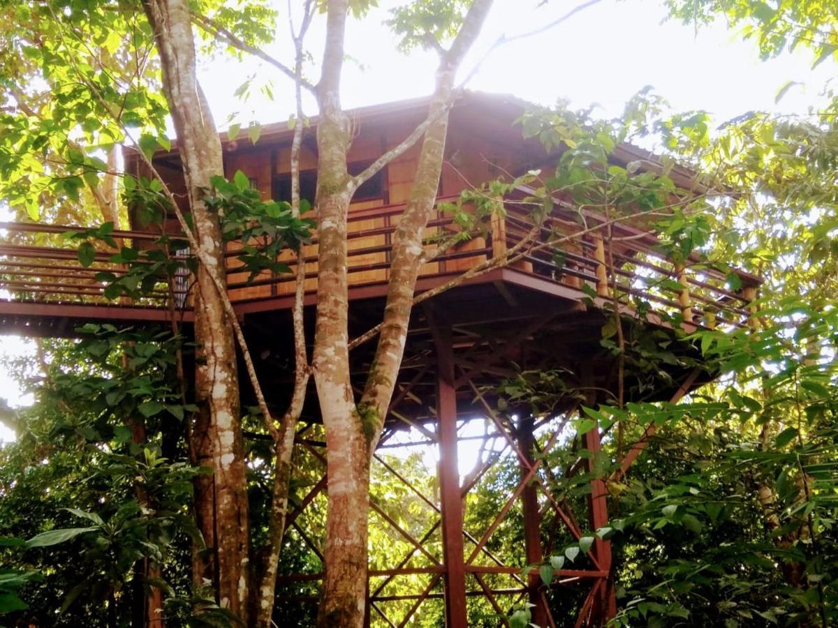 Treehouse Pilon Pavones Villa Pavones  Exterior foto