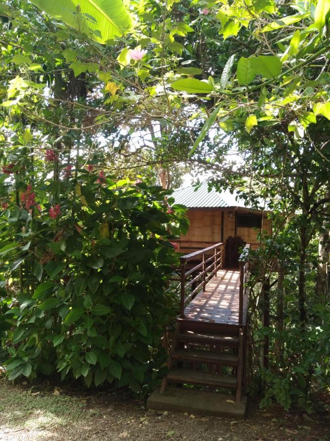 Treehouse Pilon Pavones Villa Pavones  Exterior foto