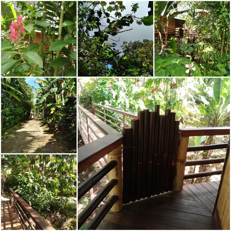 Treehouse Pilon Pavones Villa Pavones  Exterior foto