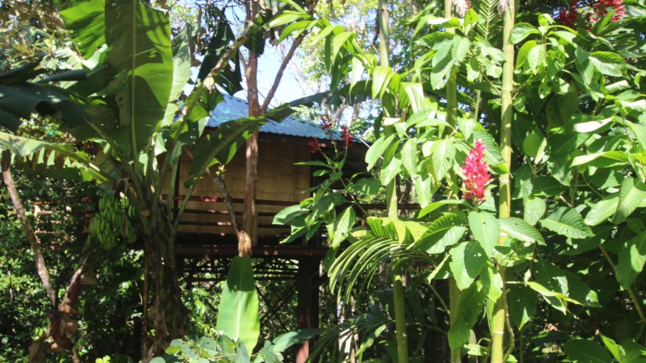 Treehouse Pilon Pavones Villa Pavones  Exterior foto