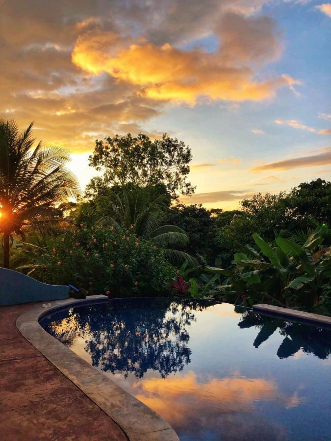 Treehouse Pilon Pavones Villa Pavones  Exterior foto